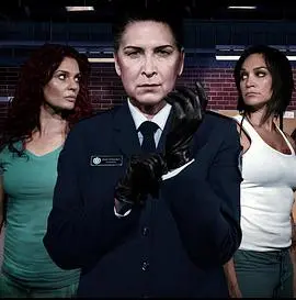 铁窗下的权力游戏！《温特沃斯第二季》：更黑暗、更残酷的监狱风云