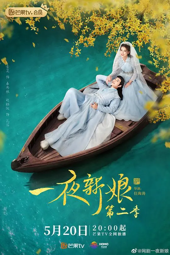 一夜新娘2越南语版 海报